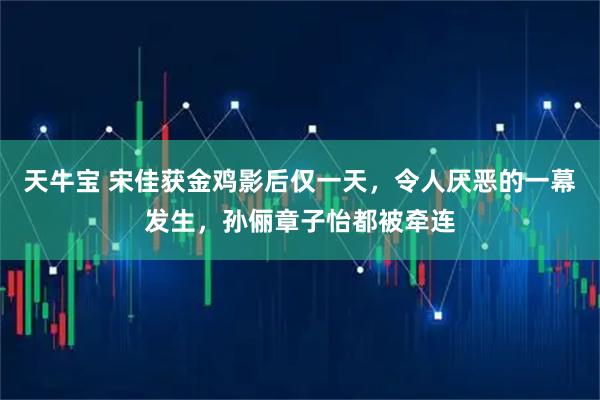 天牛宝 宋佳获金鸡影后仅一天，令人厌恶的一幕发生，孙俪章子怡都被牵连