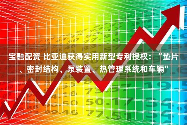 宝融配资 比亚迪获得实用新型专利授权：“垫片、密封结构、泵装置、热管理系统和车辆”